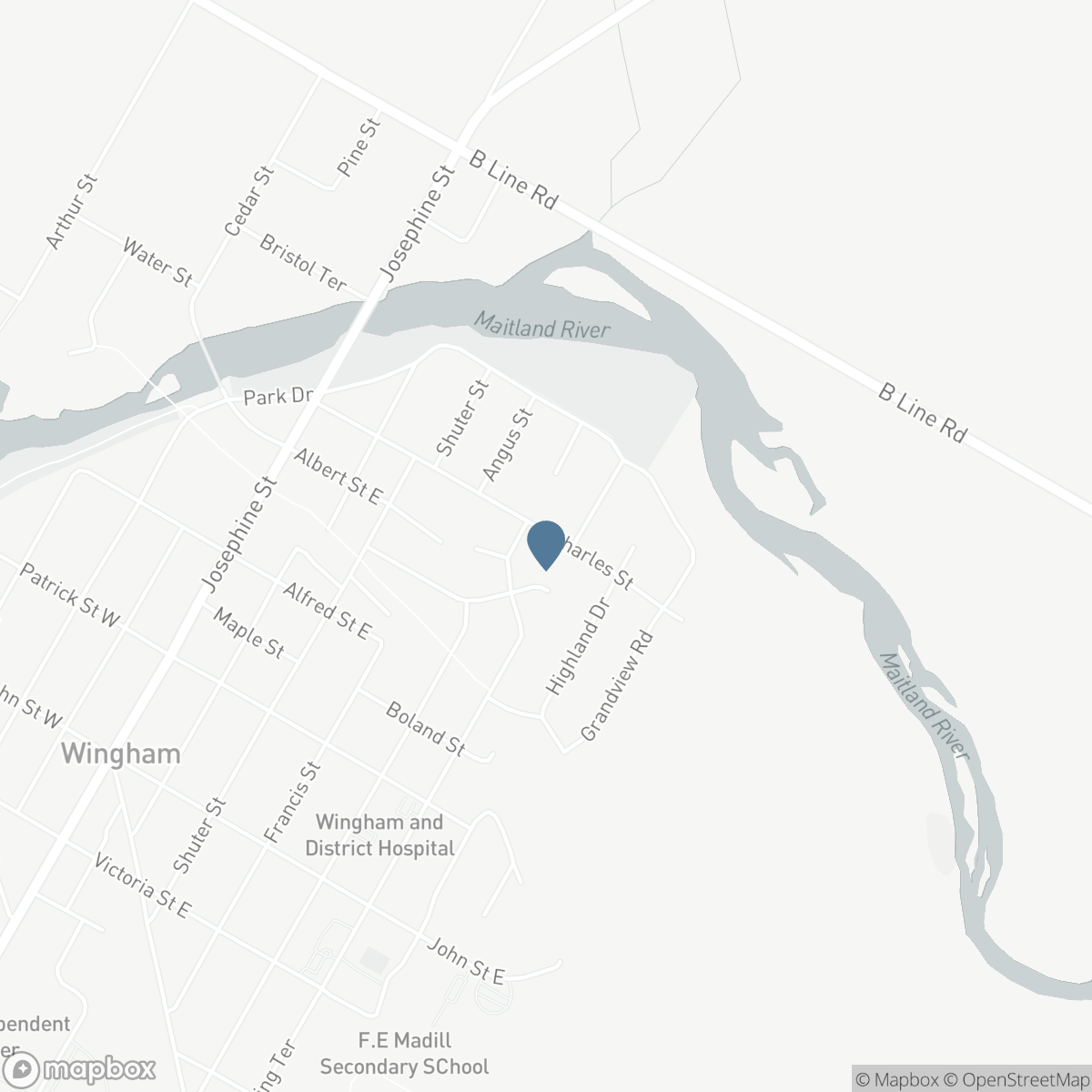 142 CHARLES STREET, Wingham, Ontario N0G 2W0